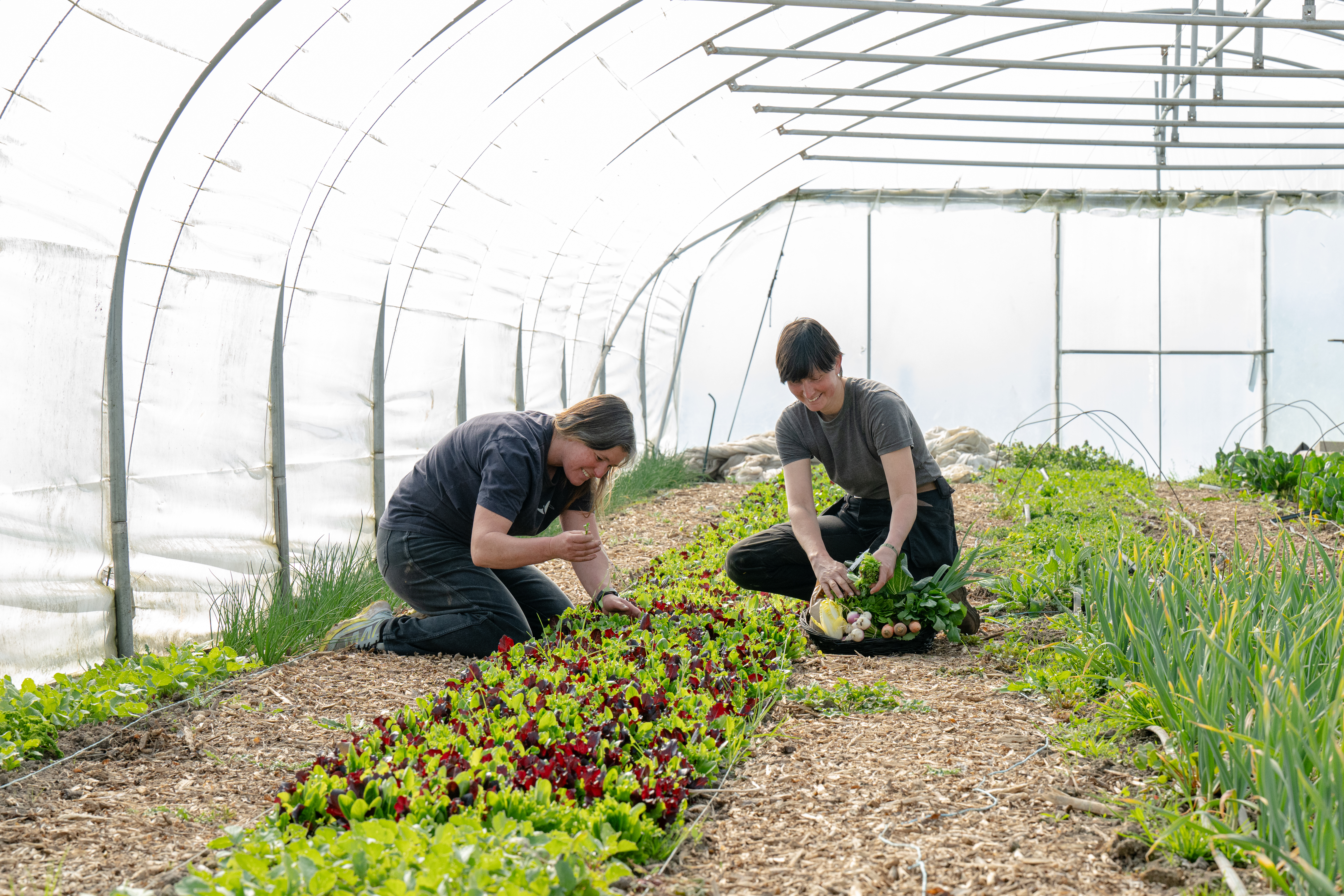 Le potager d’Isalie
